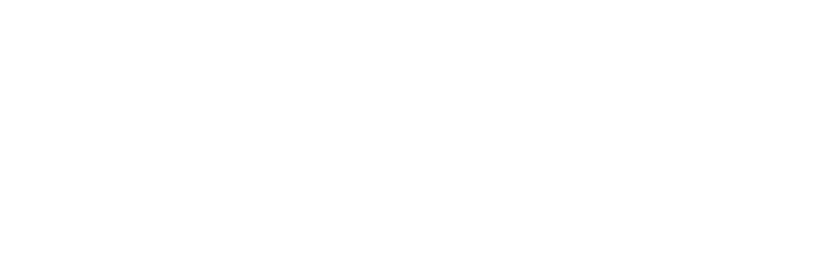 MintBingo Casino Logo